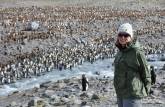 Visita a St Andrews Bay, na Geórgia do Sul, a maior colônia de pinguins rei do mundo, com quase 1 milhão de aves